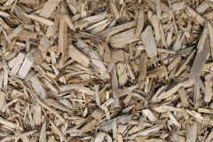 biomass boilers Balnadelson